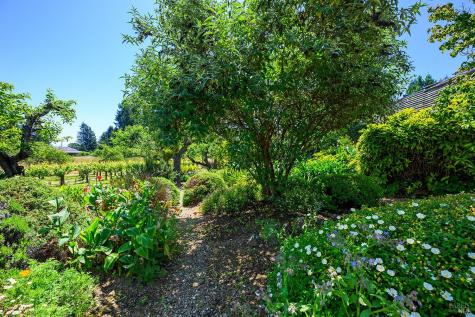 9275 Ferguson Court Sebastopol CA 95472