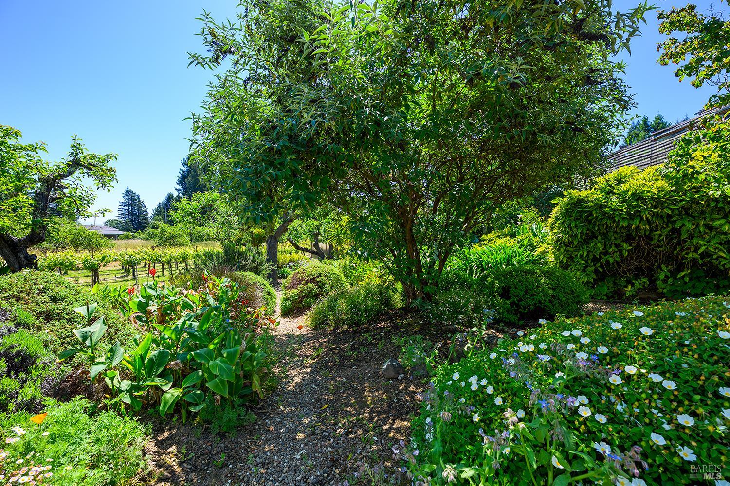 9275 Ferguson Court Sebastopol CA 95472