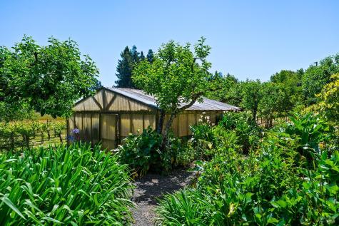 9275 Ferguson Court Sebastopol CA 95472