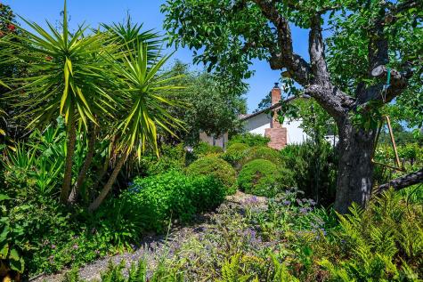 9275 Ferguson Court Sebastopol CA 95472