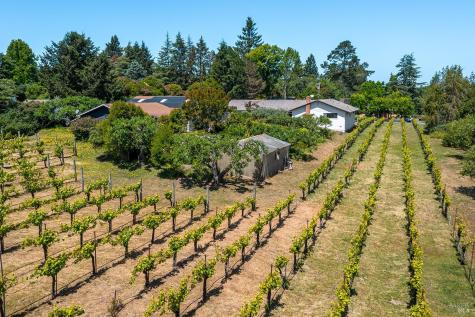 9275 Ferguson Court Sebastopol CA 95472