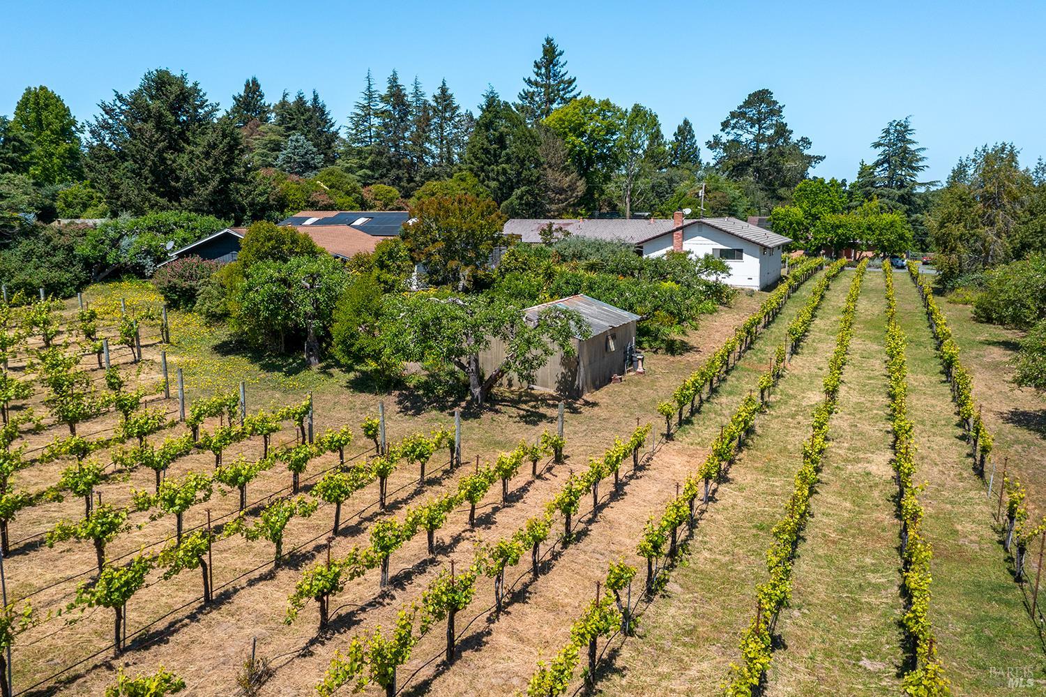 9275 Ferguson Court Sebastopol CA 95472
