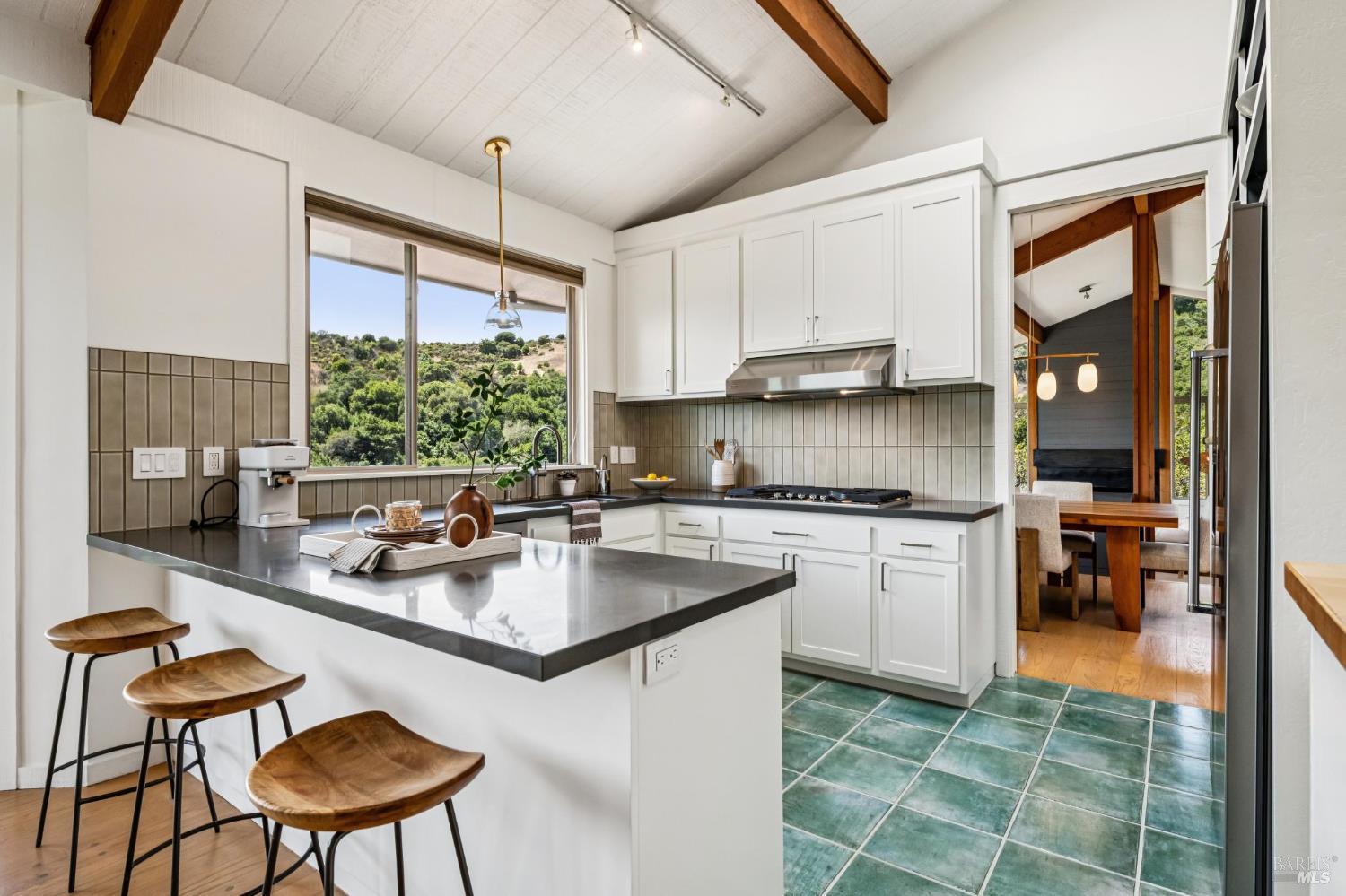 16 Mateo Drive Tiburon CA 94920