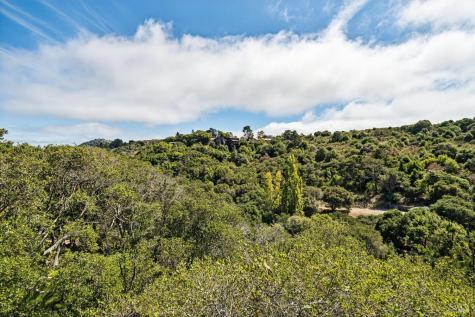 16 Mateo Drive Tiburon CA 94920