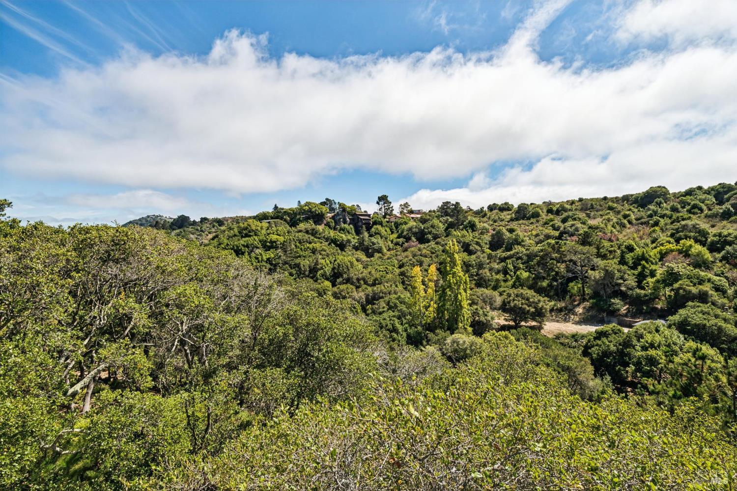 16 Mateo Drive Tiburon CA 94920