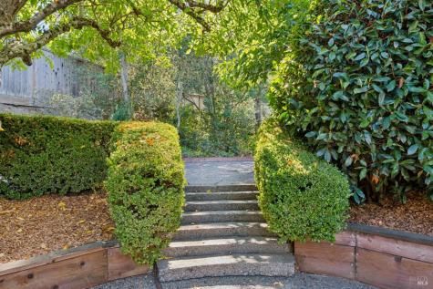 772 Beechnut Court San Rafael CA 94903