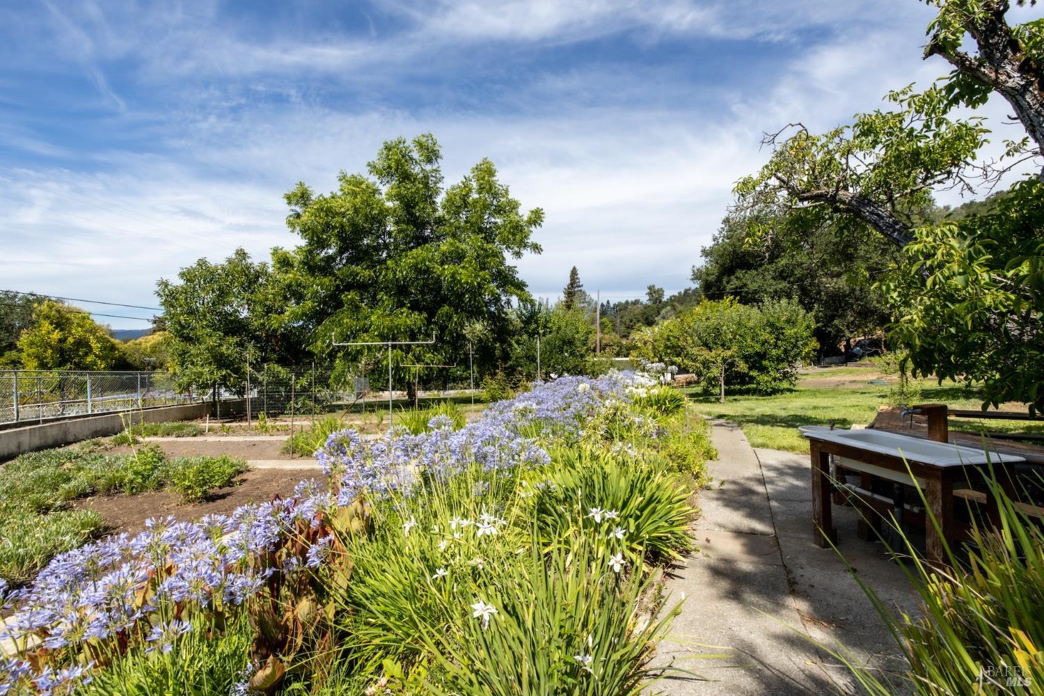 1135 Palomino Road Cloverdale CA 95425