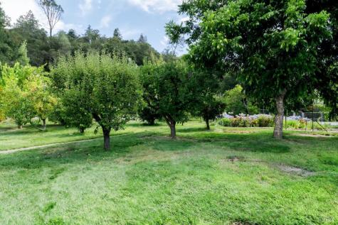 1135 Palomino Road Cloverdale CA 95425