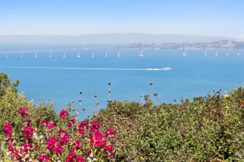 139 Hacienda Drive Tiburon CA 94920