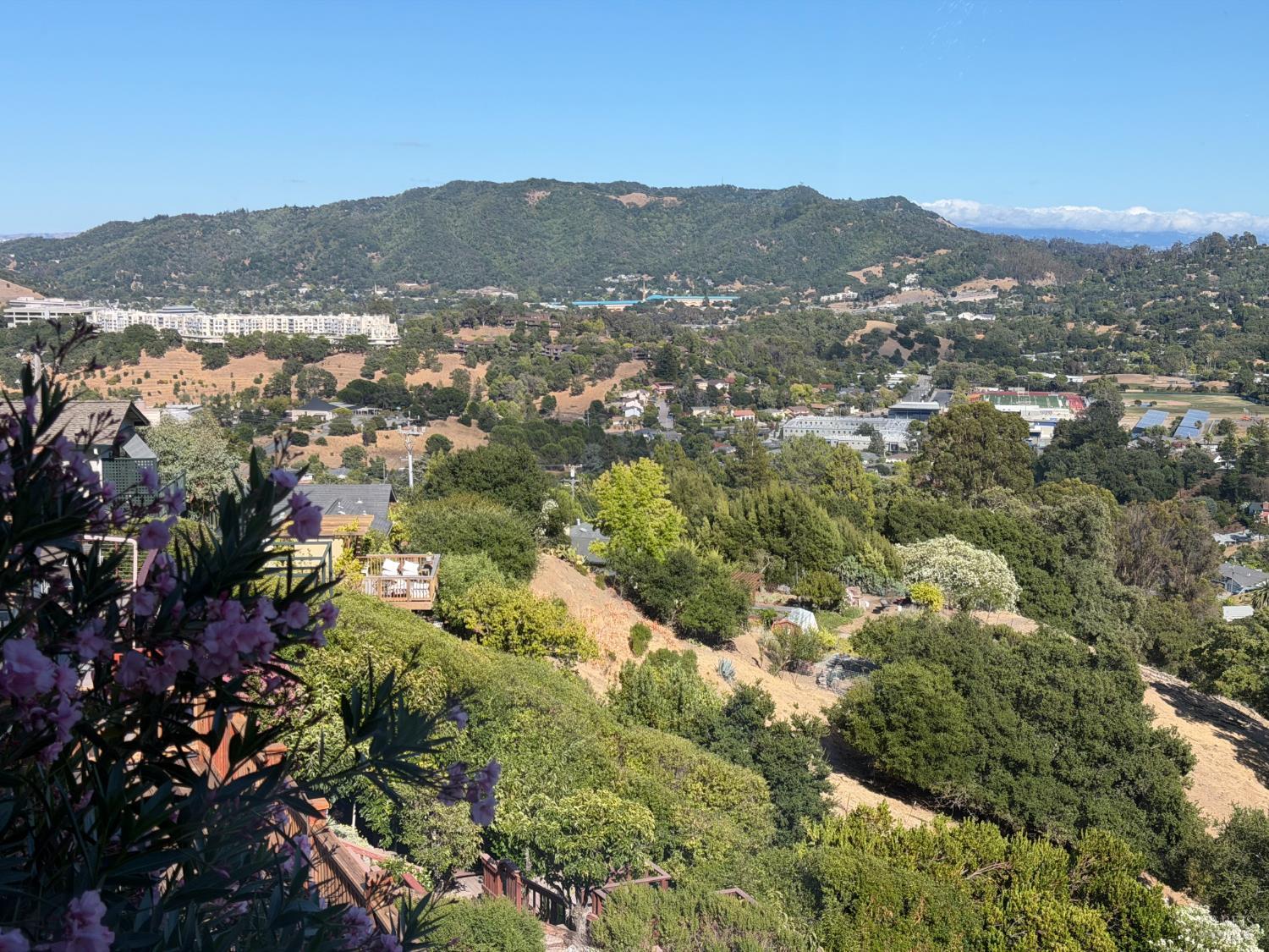 191 Esmeyer Drive San Rafael CA 94903