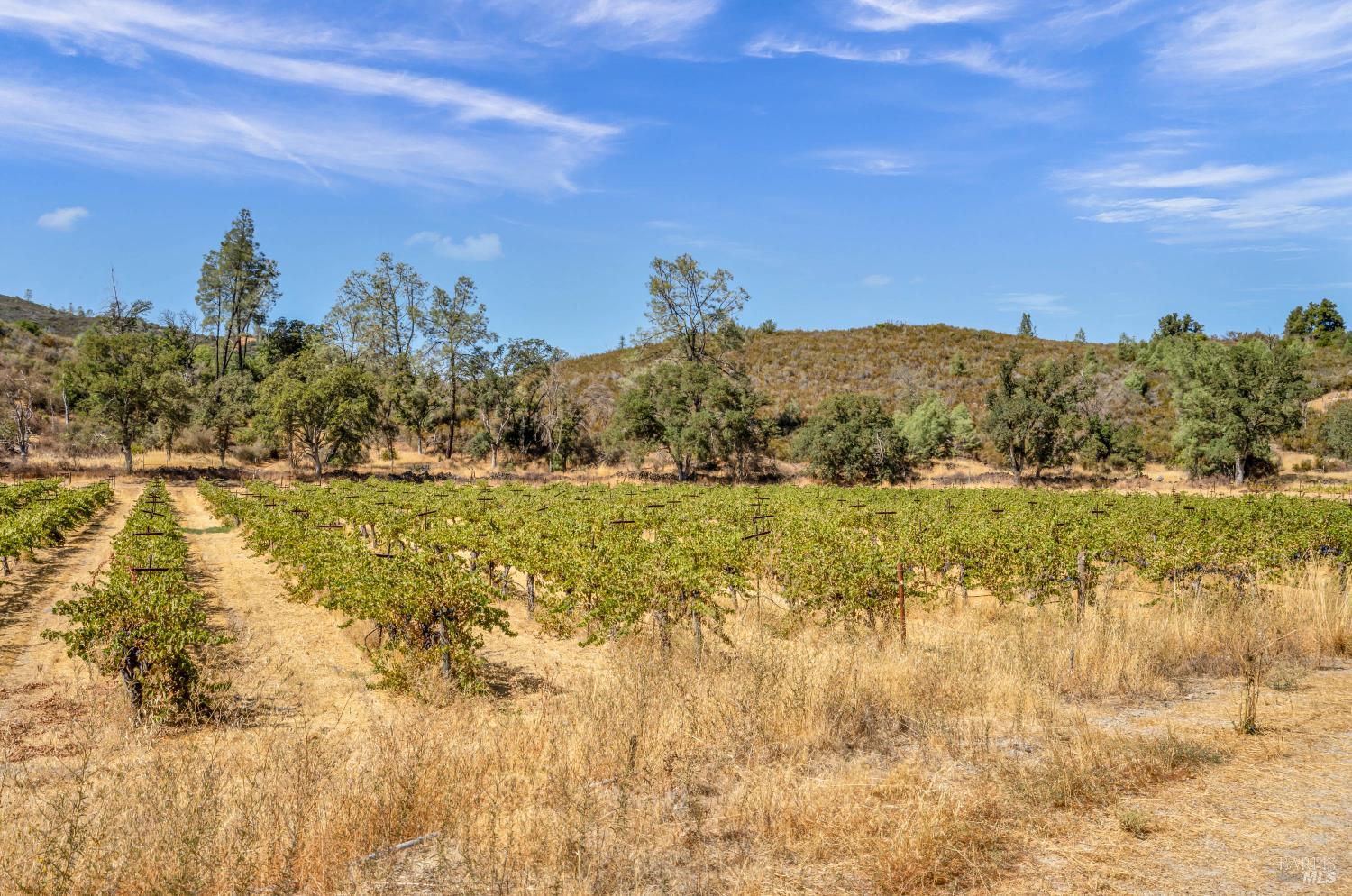 500 Old Long Valley Road Clearlake Oaks CA 95423
