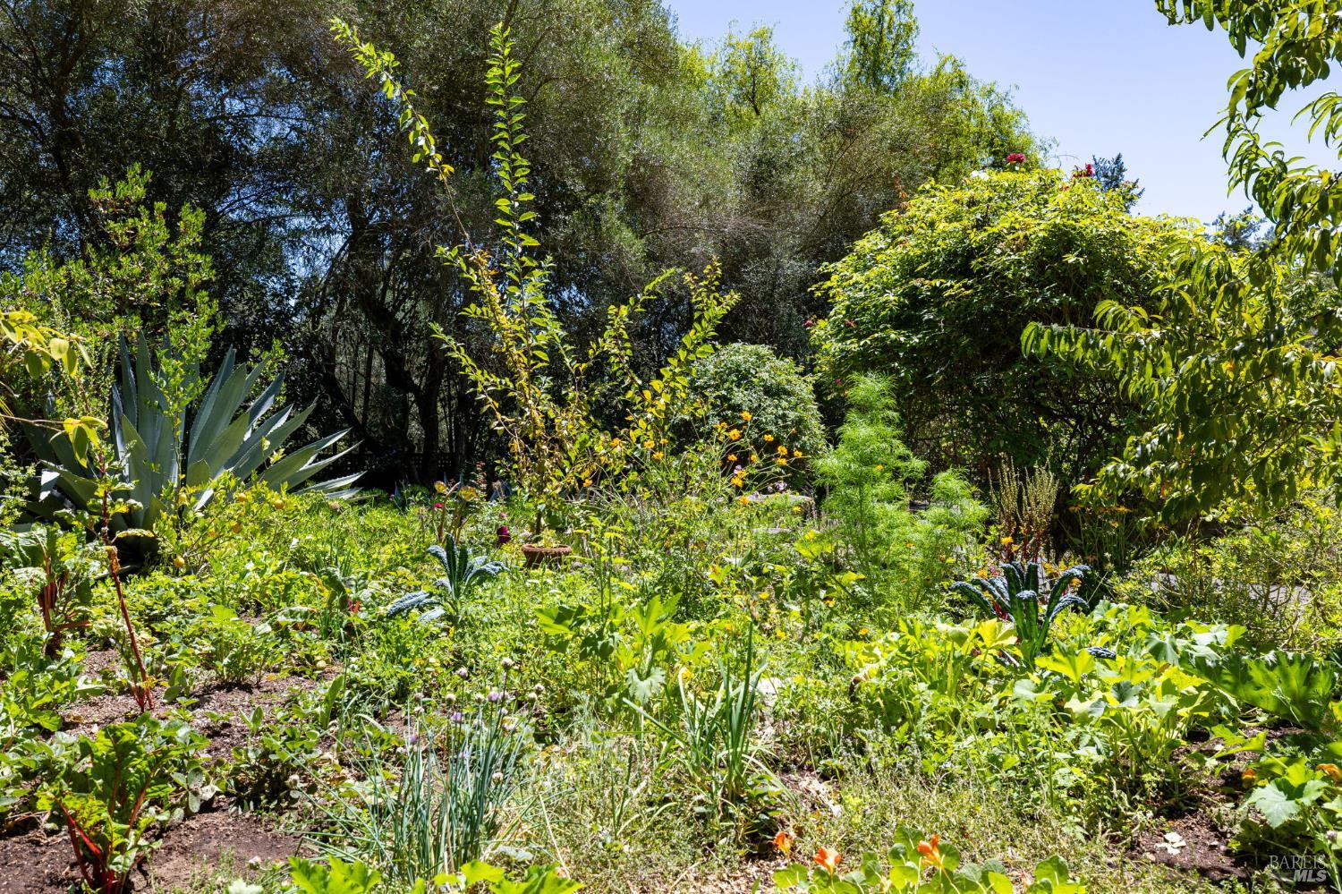 1431 Manzanita Avenue Santa Rosa CA 95404