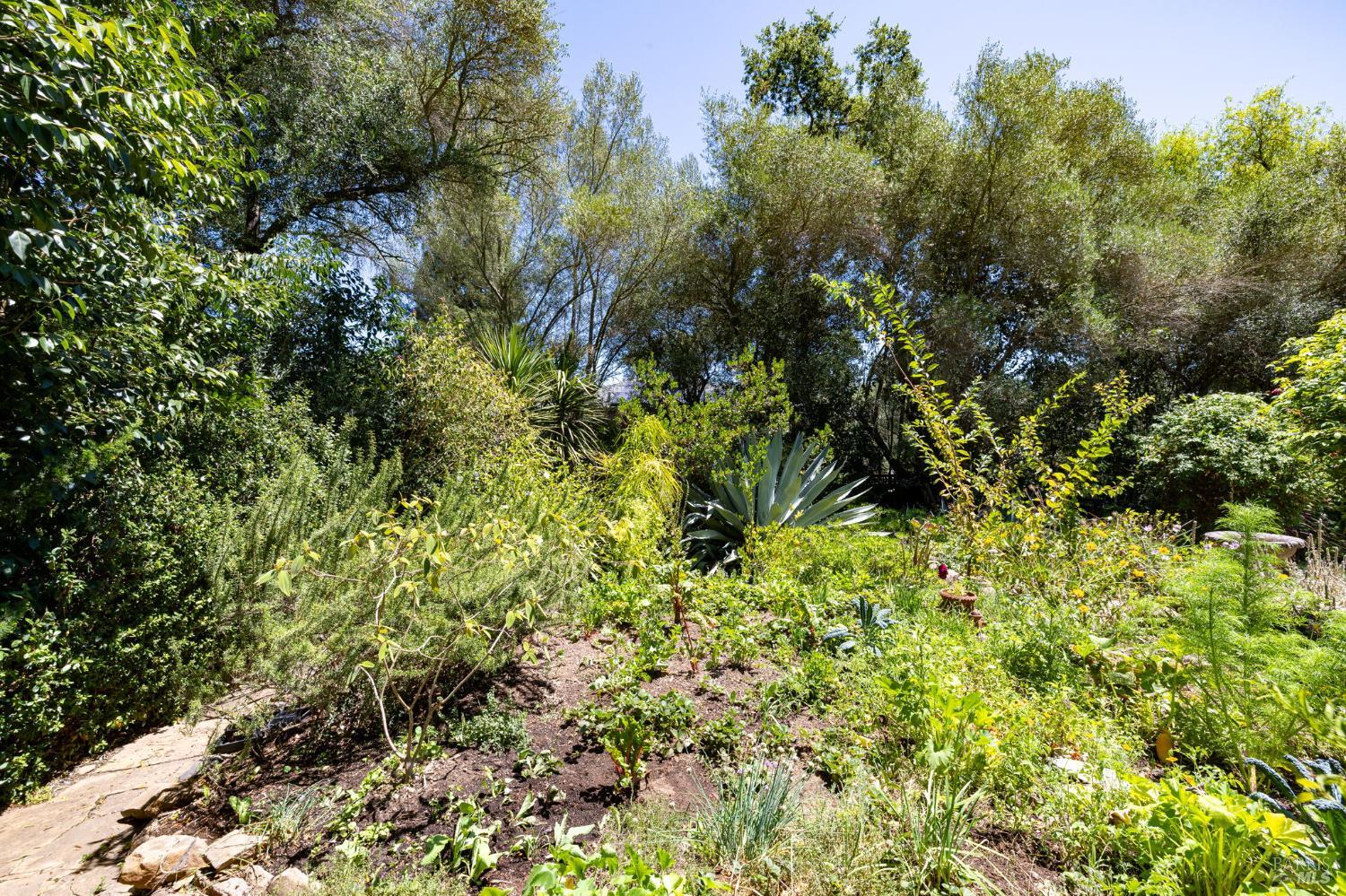 1431 Manzanita Avenue Santa Rosa CA 95404