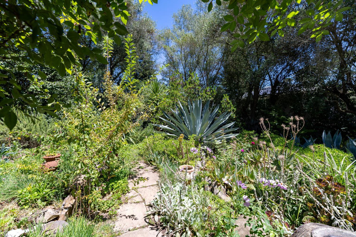 1431 Manzanita Avenue Santa Rosa CA 95404
