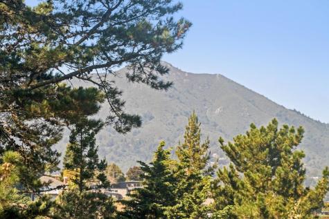470 Wellesley Avenue Mill Valley CA 94941