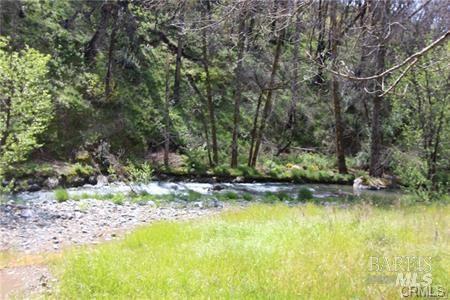 12062 Mead Middletown CA 95461