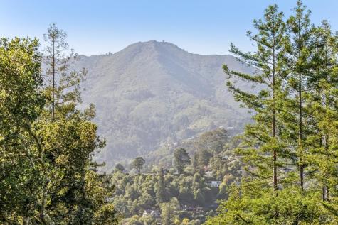 183 Molino Avenue Mill Valley CA 94941