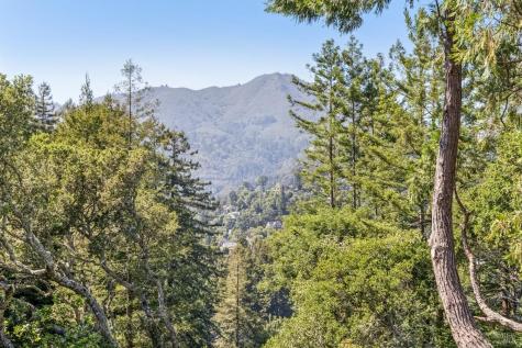 183 Molino Avenue Mill Valley CA 94941
