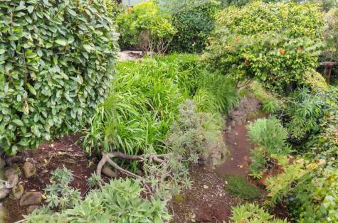 37 Glen Court Sausalito CA 94965