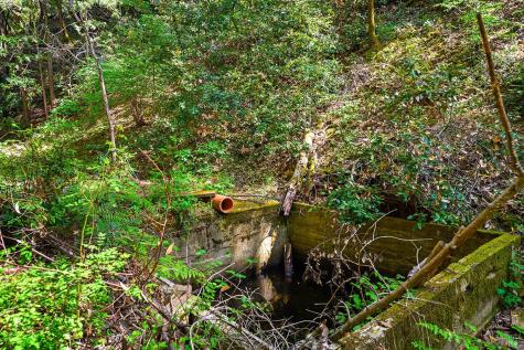 11345 Ca 116 Highway Guerneville CA 95446