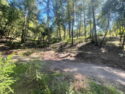 11345 Ca 116 Highway Guerneville CA 95446