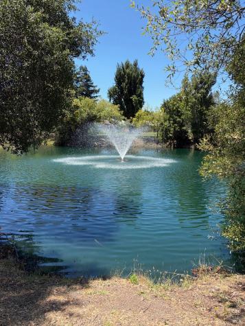 17 Temelec Circle Sonoma CA 95476