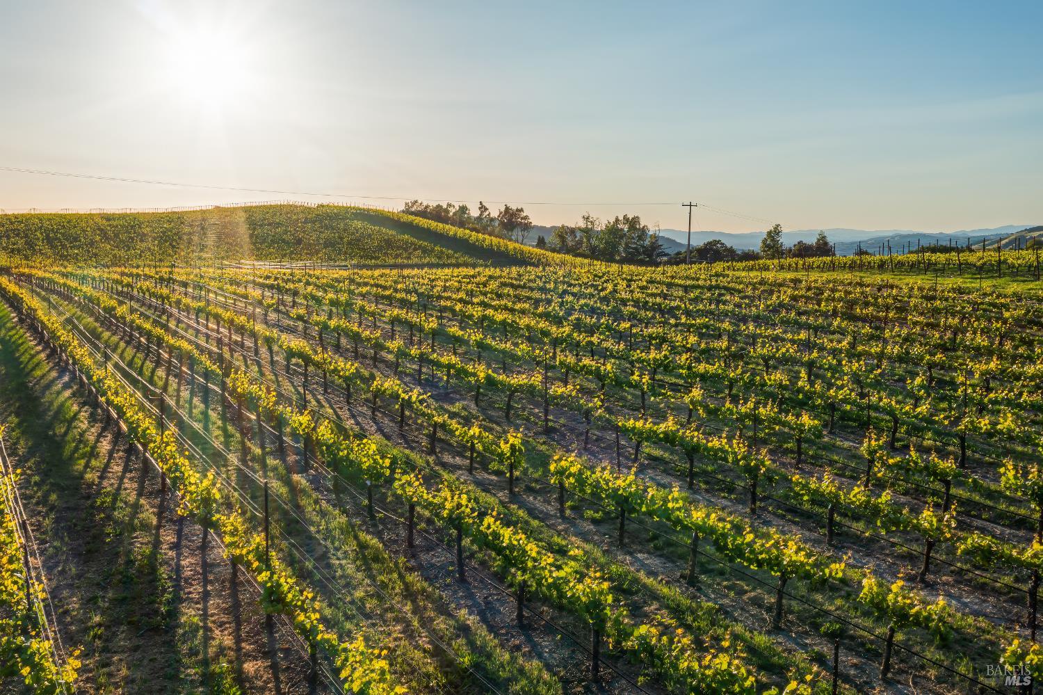 5561 Sonoma Mountain Road Santa Rosa CA 95404