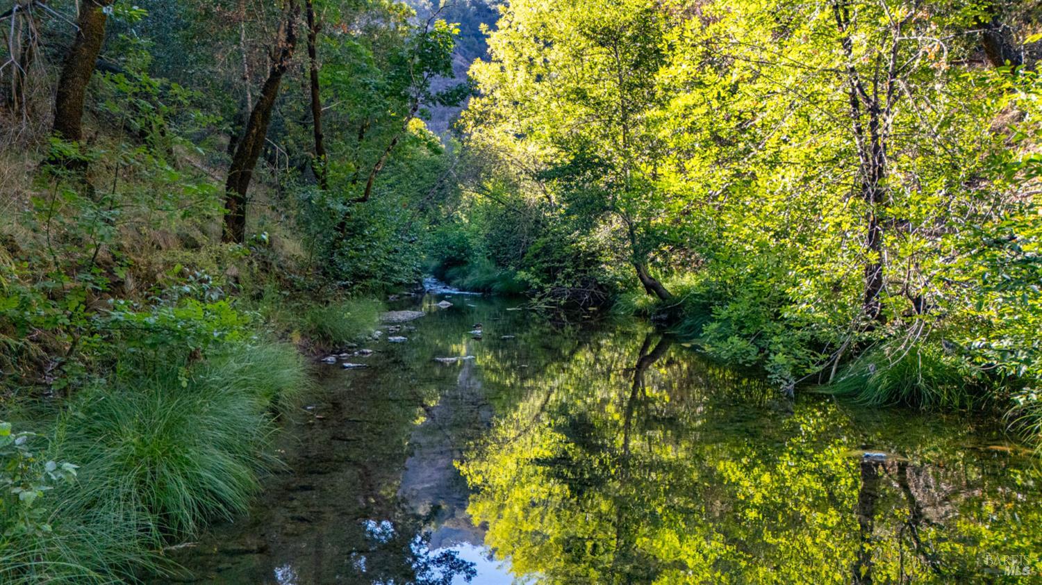 8868 Mill Creek Road Healdsburg CA 95448