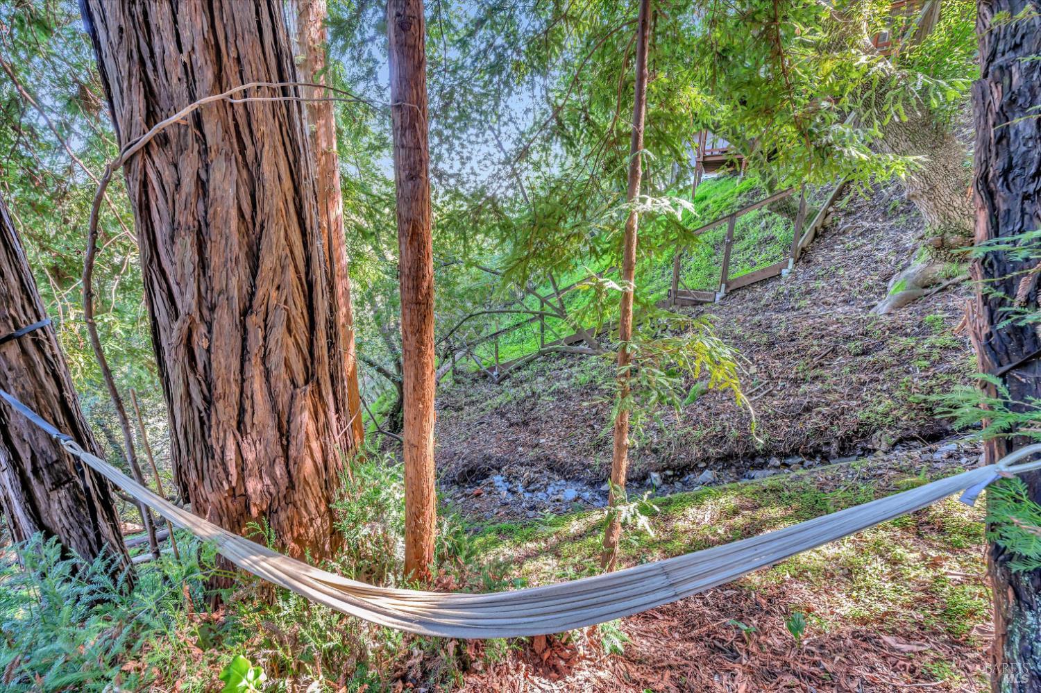 223 Scenic Road Fairfax CA 94930