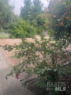 1808 Weaverly Drive Petaluma CA 94954