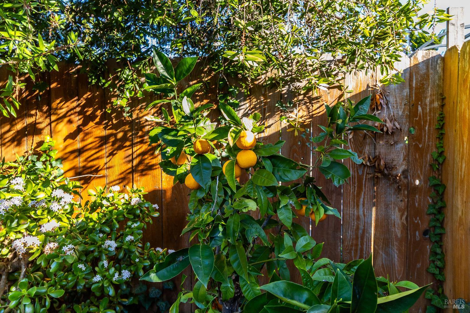 112 Palomar Lane Vallejo CA 94591