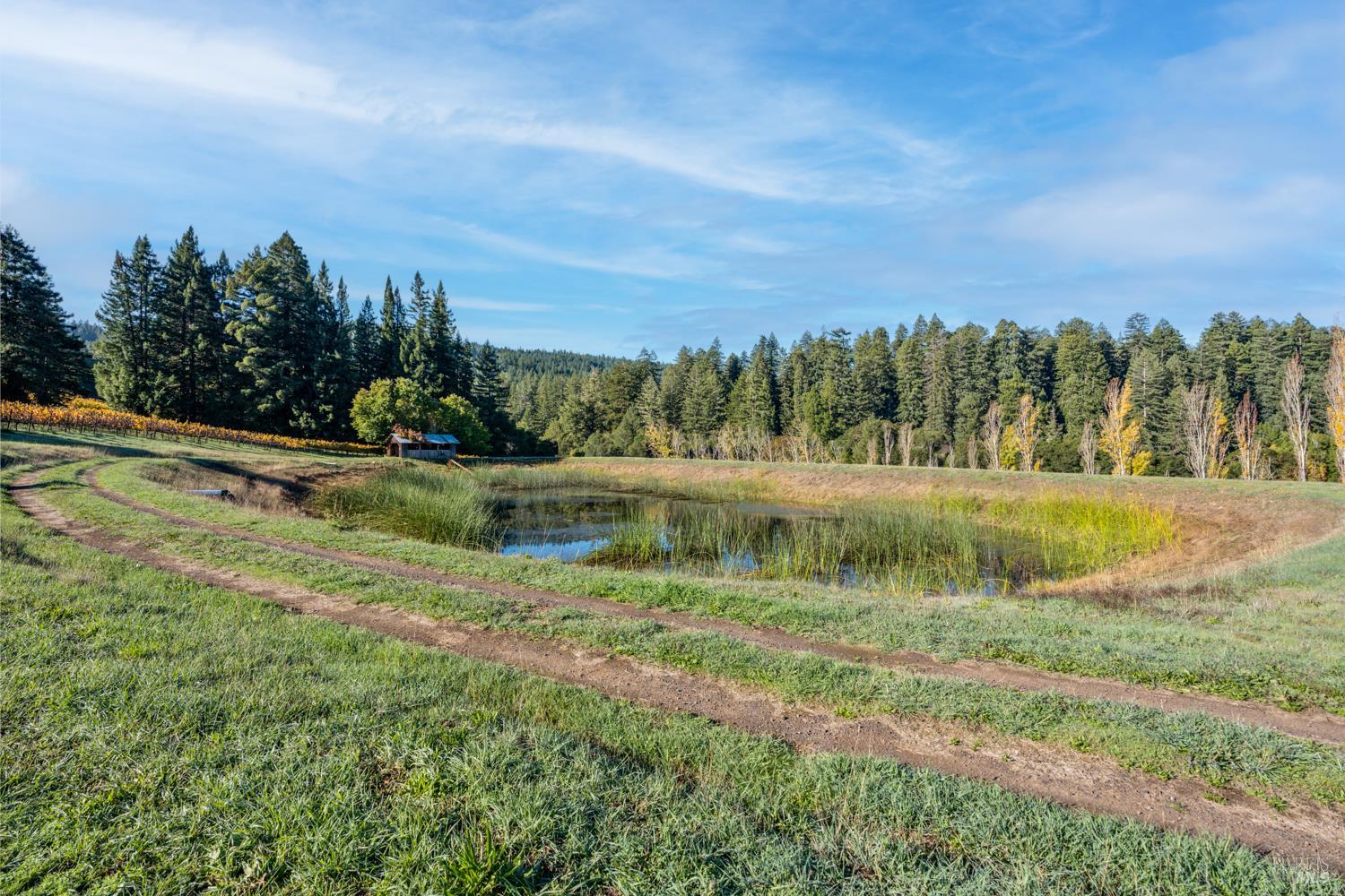 7680 Highway 128 Highway Philo CA 95466