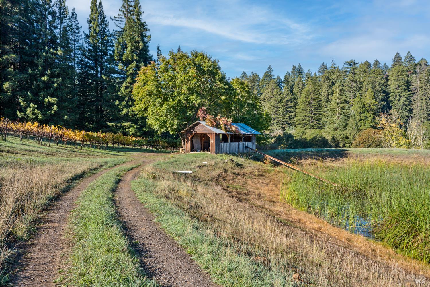 7680 Highway 128 Highway Philo CA 95466