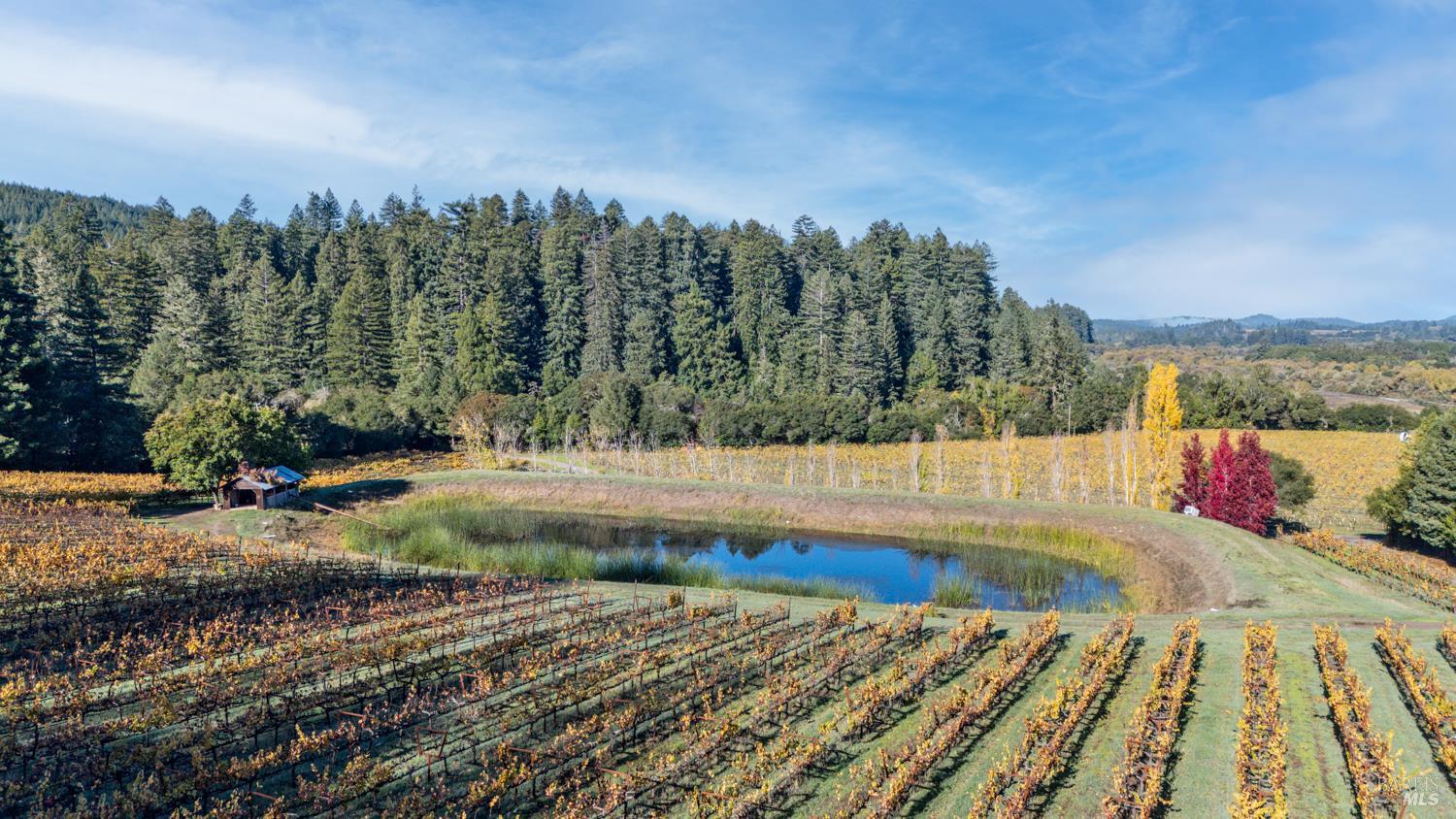7680 Highway 128 Highway Philo CA 95466
