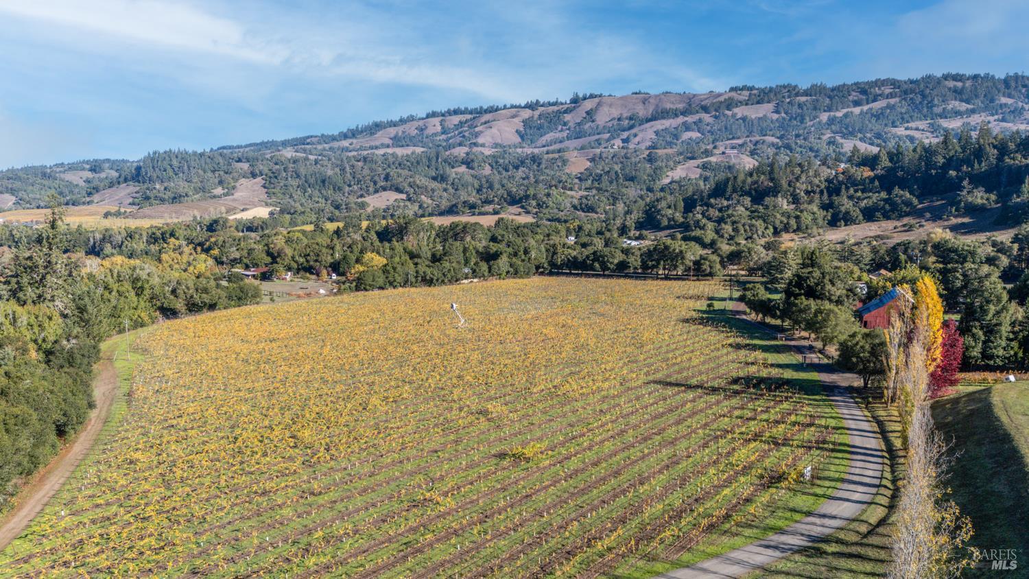 7680 Highway 128 Highway Philo CA 95466