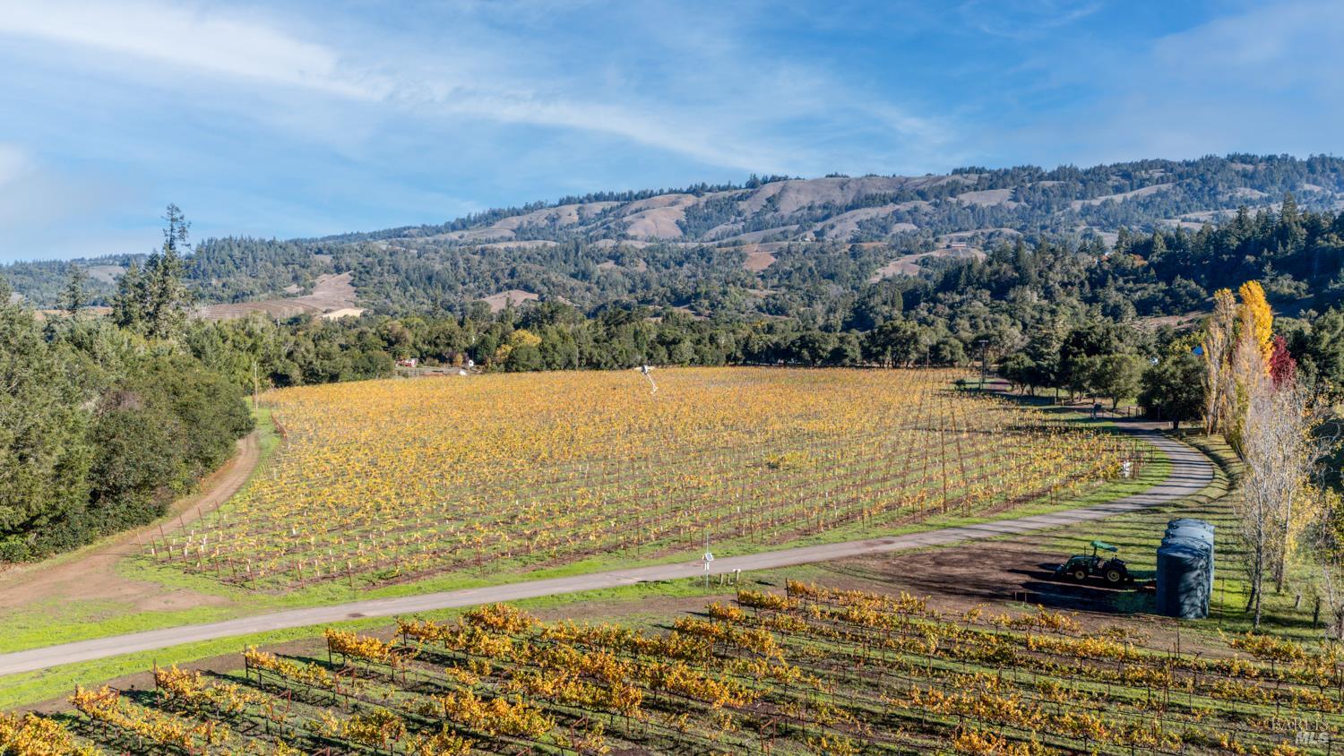 7680 Highway 128 Highway Philo CA 95466