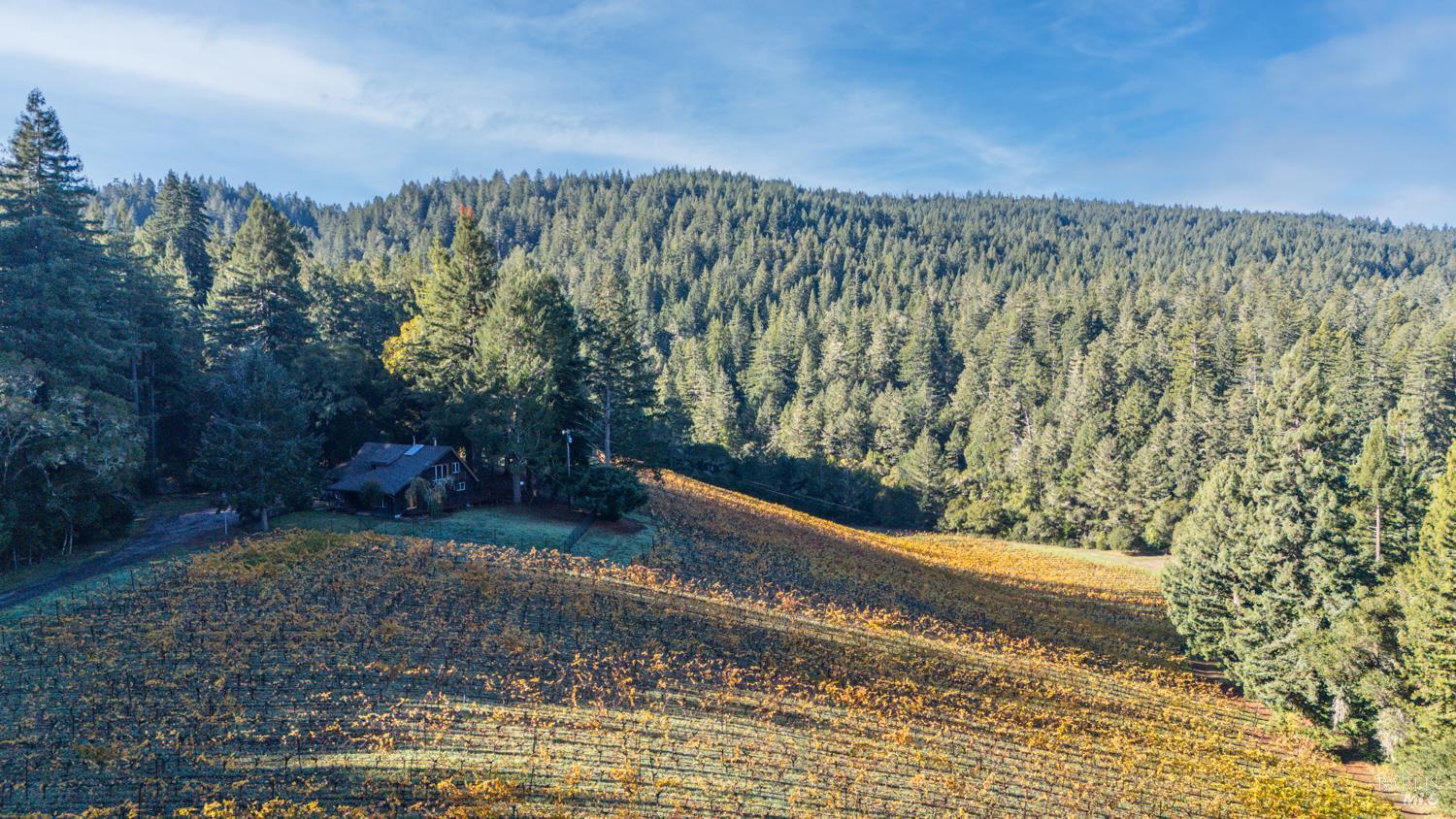 7680 Highway 128 Highway Philo CA 95466