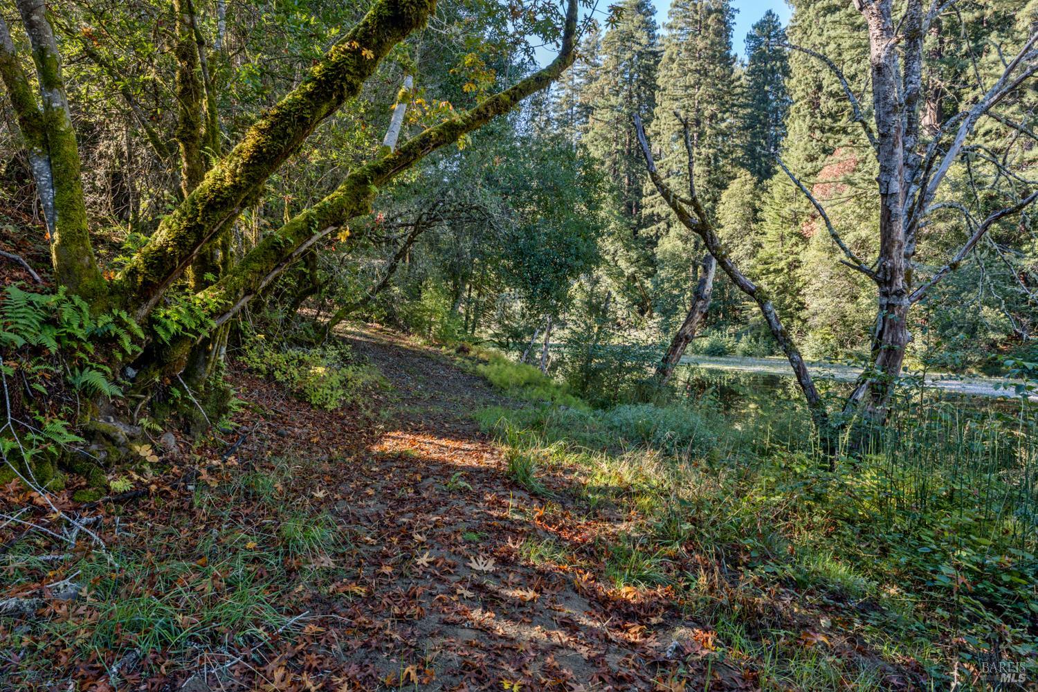 7680 Highway 128 Highway Philo CA 95466