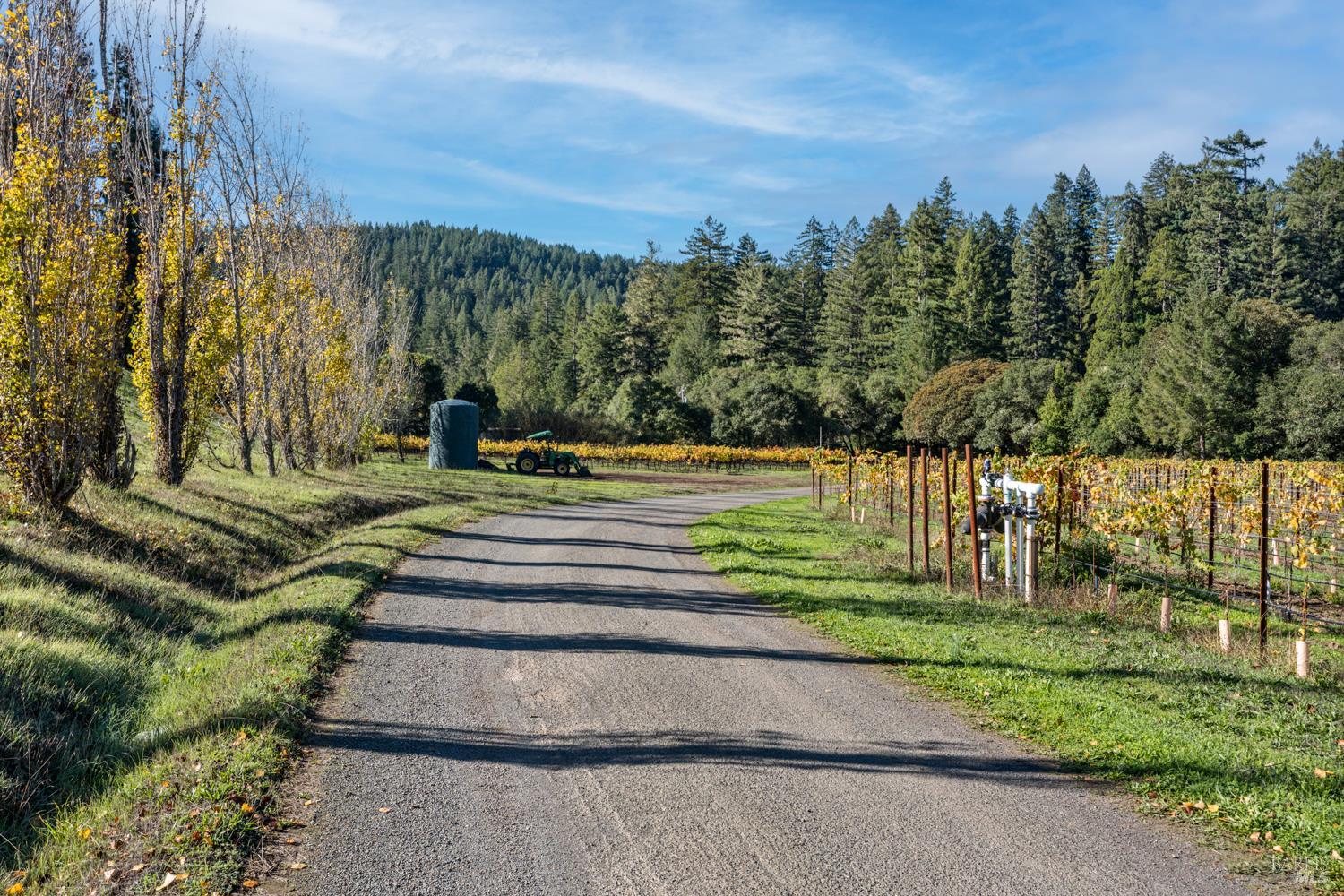 7680 Highway 128 Highway Philo CA 95466