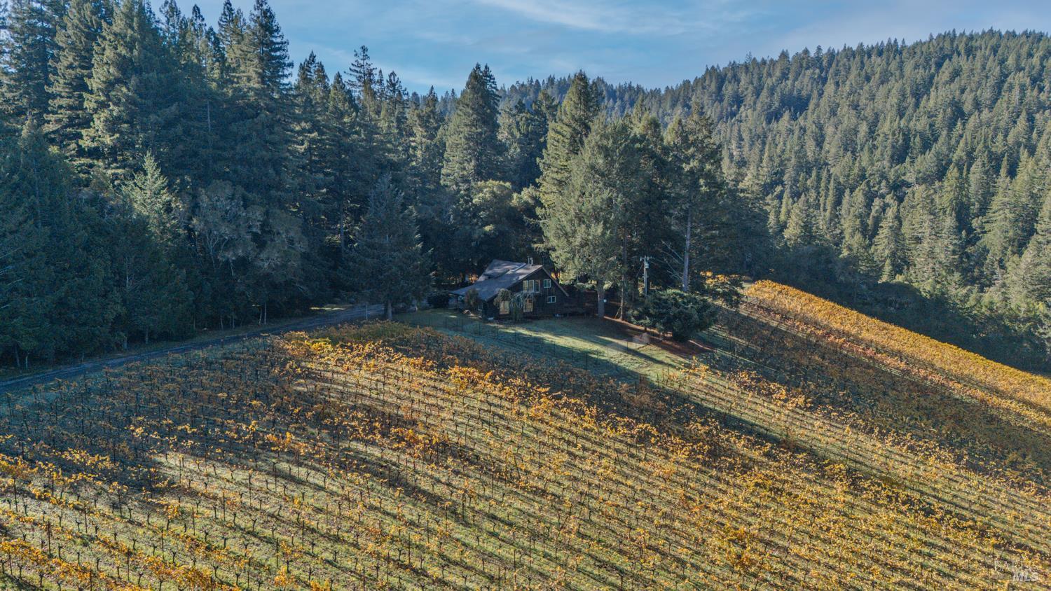 7680 Highway 128 Highway Philo CA 95466