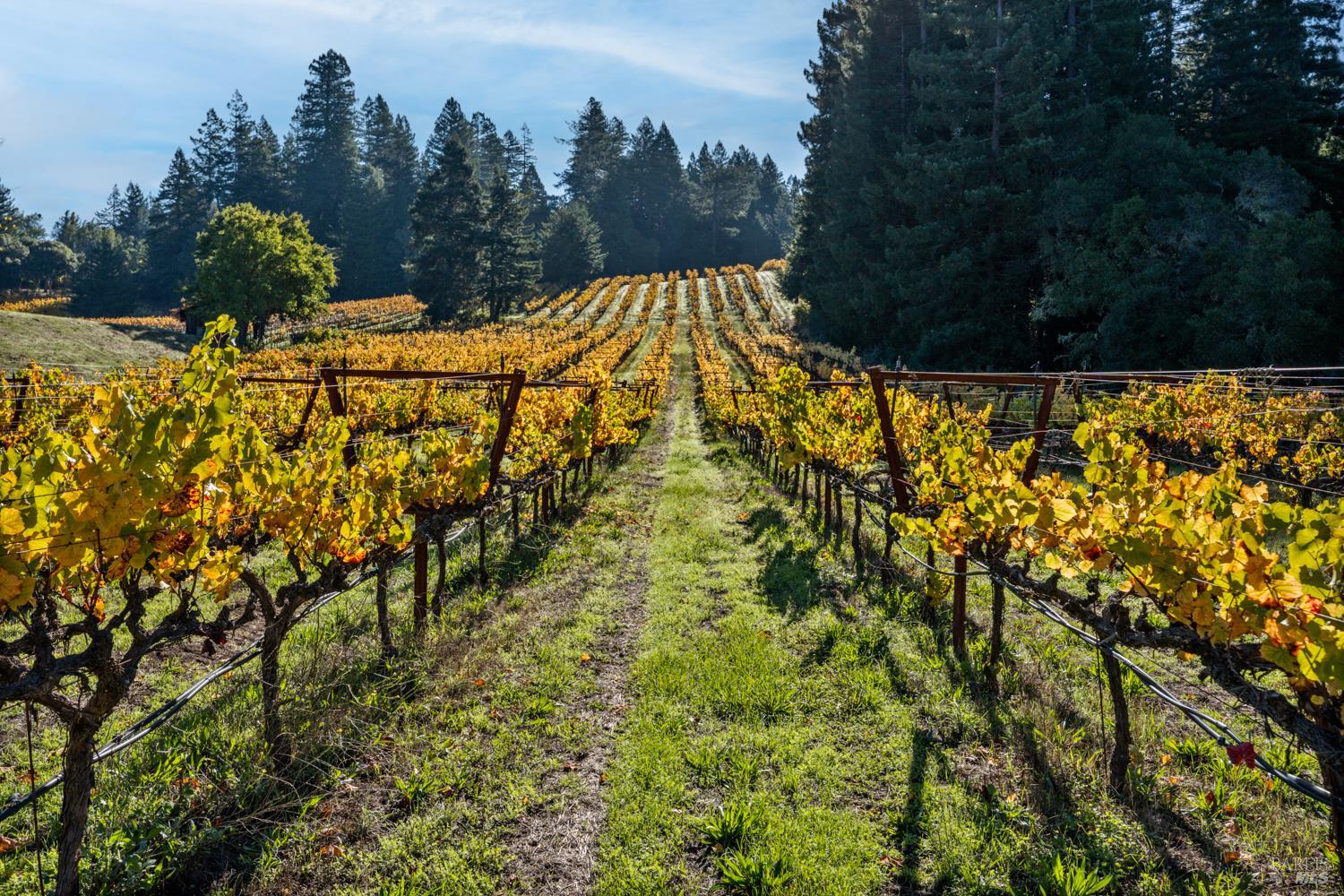 7680 Highway 128 Highway Philo CA 95466