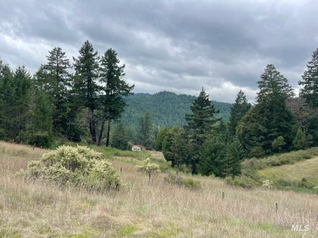 561 Bear Pen Road Piercy CA 95587