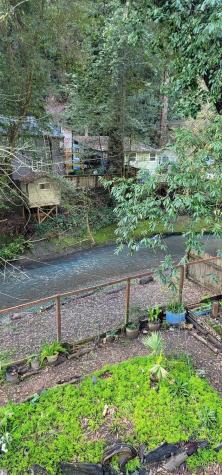 14446 Old Cazadero Road Guerneville CA 95446