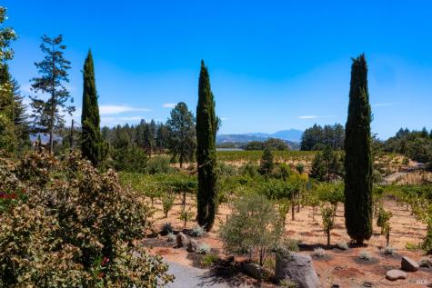 1633 Dry Creek Road Healdsburg CA 95448