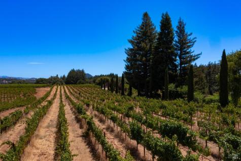 1633 Dry Creek Road Healdsburg CA 95448