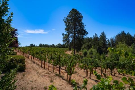 1633 Dry Creek Road Healdsburg CA 95448