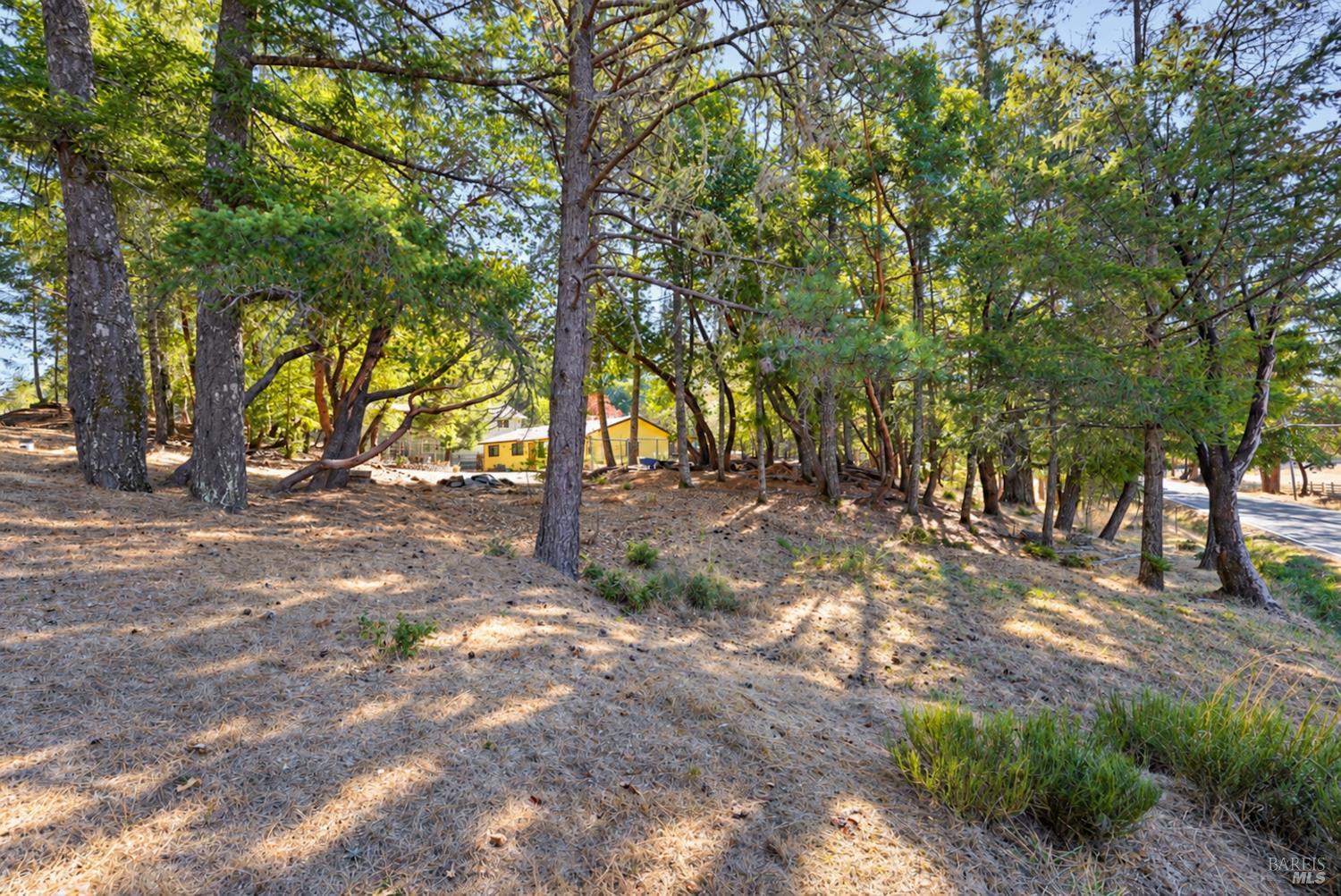 27431 Poppy Drive Willits CA 95490