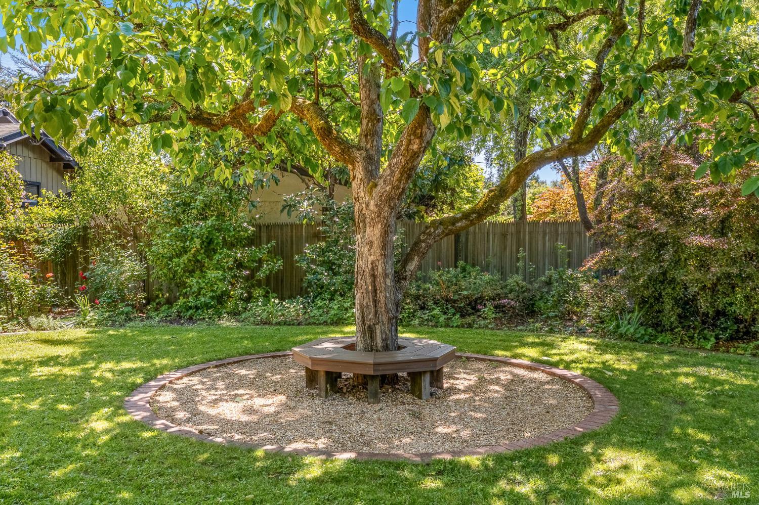 1533 Kearney Street St. Helena CA 94574