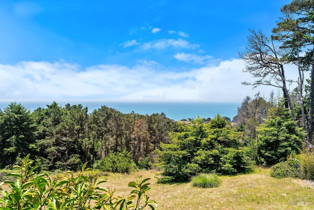 35926 Seaward The Sea Ranch CA 95497