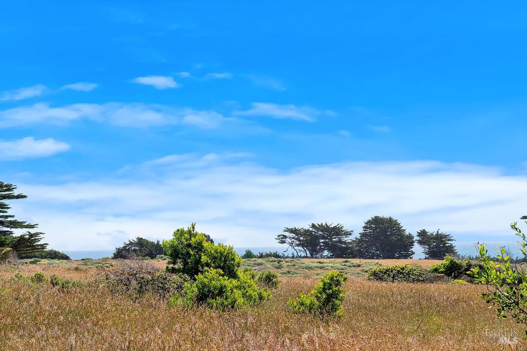 35926 Seaward The Sea Ranch CA 95497